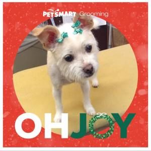 Meet your Posher, Melanie